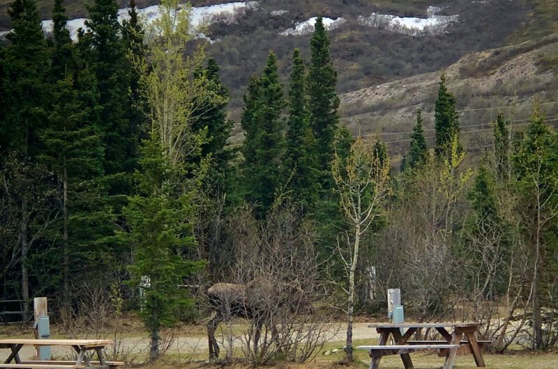 Pull Through 30 Amp Electric/Water