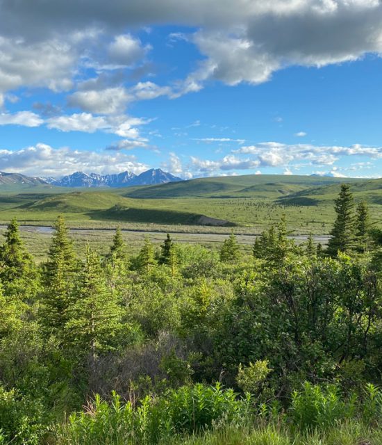 experience experience